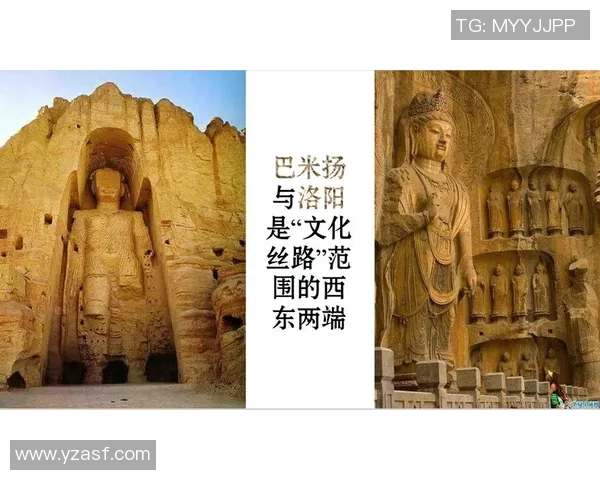 淄博与四川的对决探讨两地文化与经济发展之路