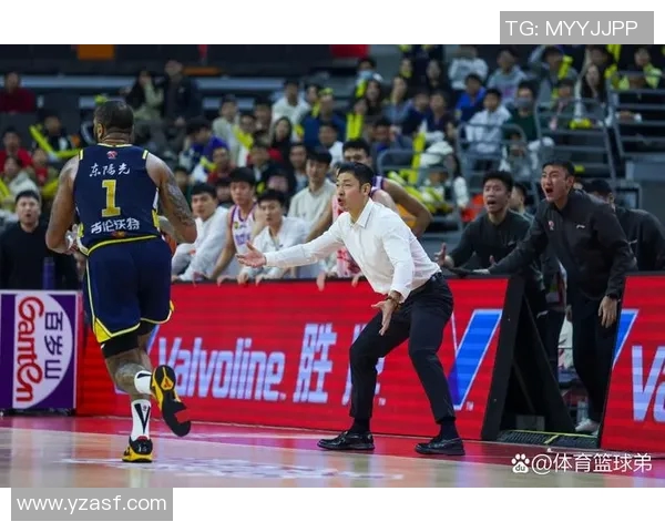 张庆鹏的篮球传奇之路：从青涩少年到职业巨星的奋斗历程