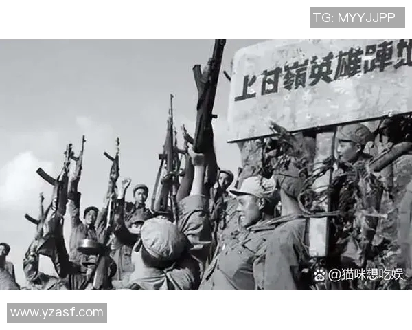 2017年太阳与自由对决的深度分析与战术解读